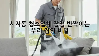 ✨ 시지동 청소업체 장점: 반짝이는 우리 집의 비밀 🏡