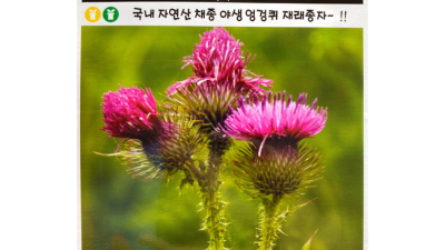놓치면 후회! 종묘 특별 할인 관람 후기 🎫 (꿀팁 大방출)