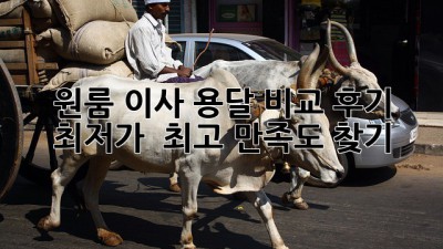 원룸 이사, 용달 비교 후기: 최저가 & 최고 만족도 찾기!