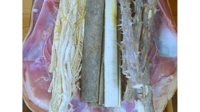 백숙용 통오리 26호: 푸짐한 행복, 놓치지 마세요!